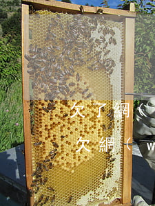 欠了網(wǎng)貸還不上工作了慢慢還(欠網(wǎng)貸最后還不了的都怎么樣了)