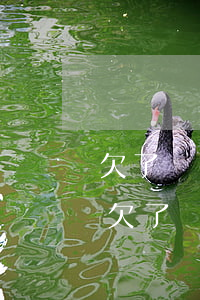 欠了網(wǎng)貸還不上怎么辦上征信(欠了網(wǎng)貸還不上怎么辦上征信)