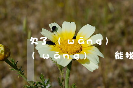 欠了網(wǎng)貸還不上想找工作(欠網(wǎng)貸還能找到工作嗎)