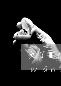 欠了網(wǎng)貸還不上會坐牢嗎(網(wǎng)貸欠款還不起會坐牢嗎)