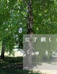 欠了網(wǎng)貸還不上會被起訴嗎(網(wǎng)貸欠錢不還會被起訴嗎)