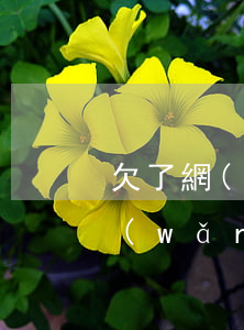欠了網(wǎng)貸還不出怎么辦(欠了網(wǎng)貸還不上怎么辦)