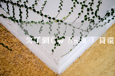 欠了網(wǎng)貸還不起了 該怎么辦