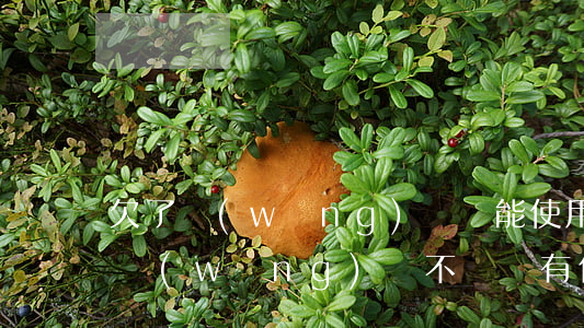 欠了網(wǎng)貸還能使用微信嗎(微信網(wǎng)貸不還會有什么后果)