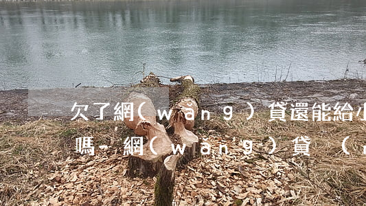 欠了網(wǎng)貸還能給小孩辦出生證嗎-網(wǎng)貸沒(méi)還可以給寶寶上戶口嗎