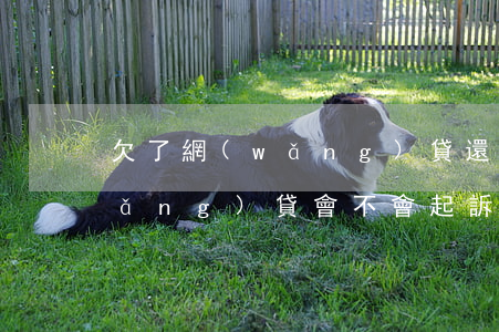 欠了網(wǎng)貸還能起訴嗎(欠網(wǎng)貸會不會起訴)