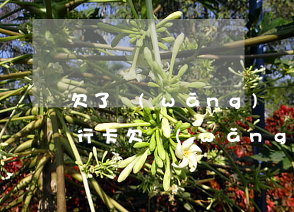 欠了網(wǎng)貸銀行卡有錢就扣嗎(銀行卡欠網(wǎng)貸,有錢會(huì)不會(huì)扣走)