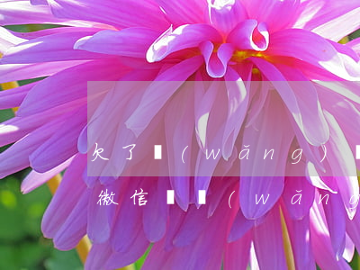 欠了網(wǎng)貸錢(qián)加了微信還(網(wǎng)貸逾期微信加我說(shuō)今天下午沒(méi)還就起訴我是真的嘛)