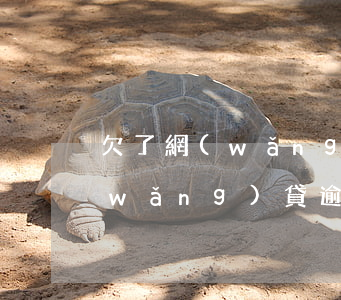 欠了網(wǎng)貸騷擾家人怎么辦(網(wǎng)貸逾期了老是騷擾家人怎么辦)