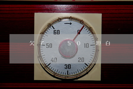 欠了網貸50萬坦白