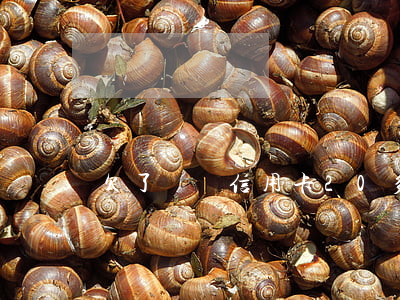 欠了網貸信用卡20多萬(欠信用卡網貸60幾萬)