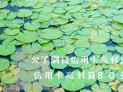 欠了網貸信用卡高利貸80多萬-欠了網貸信用卡高利貸80多萬怎么辦