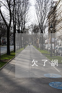 欠了網貸偷父母的錢還了(向父母借錢還網貸)