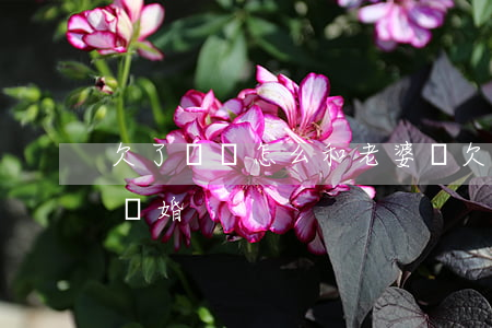 欠了網貸怎么和老婆說(欠了網貸老婆要和我離婚)