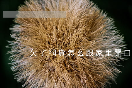 欠了網貸怎么跟家里開口