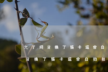 欠了網貸換了張卡還會自動扣費嗎-欠了網貸換了張卡還會自動扣費嗎怎么辦