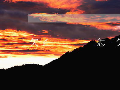 欠了網貸沒錢還怎辦(欠了網貸沒錢還怎辦)