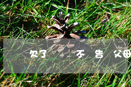 欠了網貸該不該告訴父母