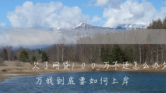 欠了网贷100万不还怎么办(欠网贷100万我到底要如何上岸)