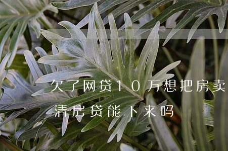 欠了网贷10万想把房卖了(网贷10万未还清房贷能下来吗)