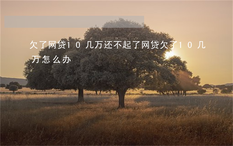 欠了网贷10几万还不起了(网贷欠了10几万怎么办)