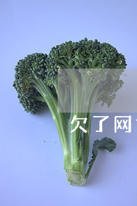 欠了网贷10多万想死了(网贷欠了10几万)