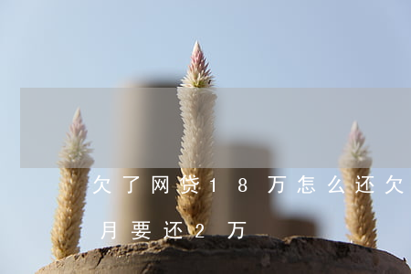 欠了网贷18万怎么还(欠了18万网贷每个月要还2万)