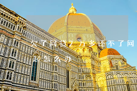 欠了网贷2万多还不了(网贷欠了两万多还不起怎么办)