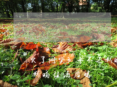 欠了网贷3年不还影响住酒店吗(网贷不还会影响住酒店吗)