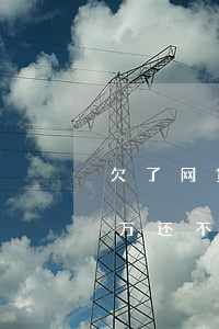欠了网贷40万还不起了怎么办(欠网贷40万还不出来怎么办)