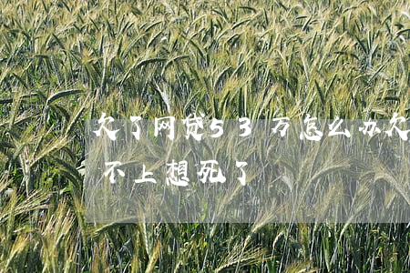 欠了网贷53万怎么办(欠网贷35万根本还不上想死了)