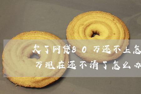 欠了网贷80万还不上怎么办(欠网贷20多万,现在还不清了怎么办)