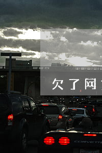 欠了网贷9万该怎么办(网贷欠款8万怎么办)