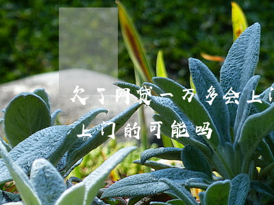 欠了网贷一万多会上门吗(欠网贷1000有上门的可能吗)