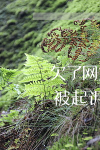 欠了网贷一万多会被起诉吗(欠网贷1万多会被起诉吗)