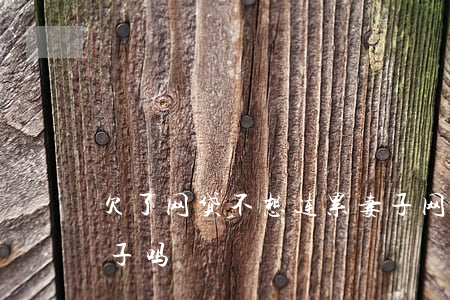 欠了网贷不想连累妻子(网贷还不上会连累妻子吗)