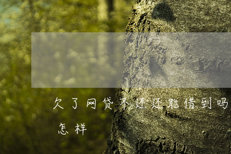 欠了网贷不还还能借到吗(如果欠网贷不还会怎样)
