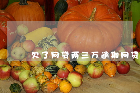 欠了网贷两三万逾期(网贷逾期三年多了)