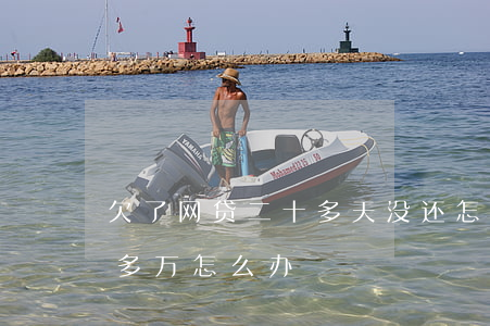 欠了网贷二十多天没还怎么办(网贷欠了二十多万怎么办)