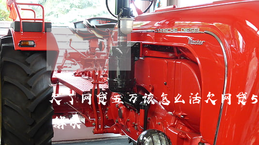 欠了网贷五万该怎么活(欠网贷5万怎么还好解决)