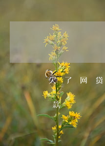 欠了网贷会查到车吗(买车时会不会查网贷欠款)