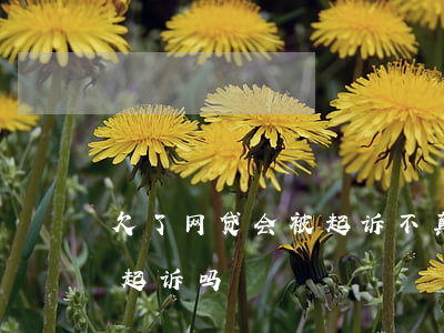 欠了网贷会被起诉不 真还不起(网贷还不起会起诉吗)