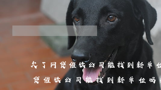 欠了网贷催收公司能找到新单位吗-欠了网贷催收公司能找到新单位吗知乎