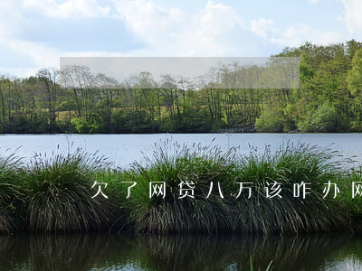 欠了网贷八万该咋办(网贷8万怎么办)