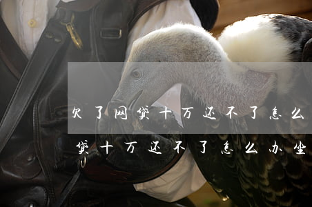 欠了网贷十万还不了怎么办坐牢吗-欠了网贷十万还不了怎么办坐牢吗知乎