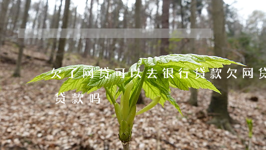 欠了网贷可以去银行贷款(欠网贷还能在银行贷款吗)
