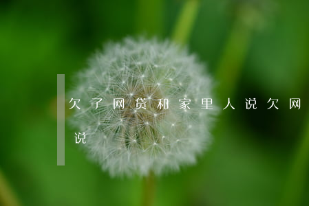 欠了网贷和家里人说(欠网贷要不要和家里人说)