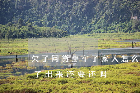 欠了网贷坐牢了家人怎么给他还(欠网贷坐牢了出来还要还吗)