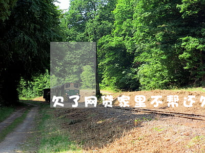 欠了网贷 家里不帮还(欠了网贷家里人不管我)