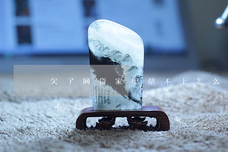 欠了网贷家里帮不上怎么办(欠网贷家里人帮不上)